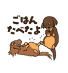 ダックス一家の家族スタンプ（個別スタンプ：11）