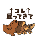 ダックス一家の家族スタンプ（個別スタンプ：14）