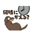 ダックス一家の家族スタンプ（個別スタンプ：17）