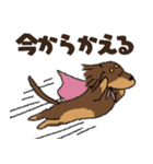 ダックス一家の家族スタンプ（個別スタンプ：19）