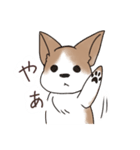 わんこうどん（個別スタンプ：1）
