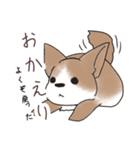 わんこうどん（個別スタンプ：2）