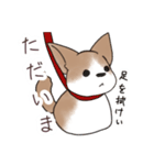 わんこうどん（個別スタンプ：3）