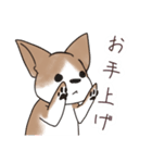 わんこうどん（個別スタンプ：4）