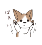 わんこうどん（個別スタンプ：5）