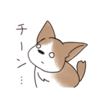 わんこうどん（個別スタンプ：6）