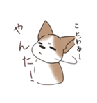 わんこうどん（個別スタンプ：8）