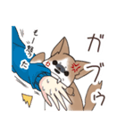 わんこうどん（個別スタンプ：10）