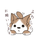 わんこうどん（個別スタンプ：11）