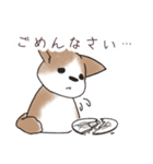 わんこうどん（個別スタンプ：12）