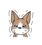 わんこうどん（個別スタンプ：13）