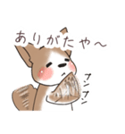 わんこうどん（個別スタンプ：15）