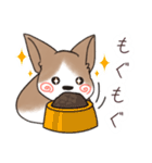 わんこうどん（個別スタンプ：20）