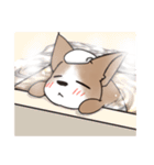 わんこうどん（個別スタンプ：21）