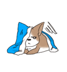 わんこうどん（個別スタンプ：24）