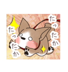 わんこうどん（個別スタンプ：28）