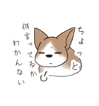 わんこうどん（個別スタンプ：30）