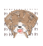 わんこうどん（個別スタンプ：31）