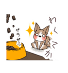 わんこうどん（個別スタンプ：32）