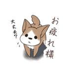 わんこうどん（個別スタンプ：38）