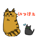 方言猫あずき 千葉弁（個別スタンプ：5）