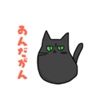 方言猫あずき 千葉弁（個別スタンプ：36）