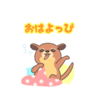ぶーちゃんねるのキンカジュー（個別スタンプ：1）