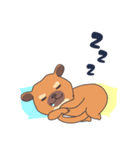 ぶーちゃんねるのキンカジュー（個別スタンプ：2）