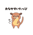 ぶーちゃんねるのキンカジュー（個別スタンプ：5）