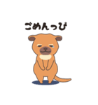 ぶーちゃんねるのキンカジュー（個別スタンプ：12）