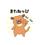 ぶーちゃんねるのキンカジュー（個別スタンプ：16）