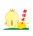 日常 会話 オカメインコ（個別スタンプ：19）