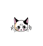 黒ブチにゃん（個別スタンプ：20）