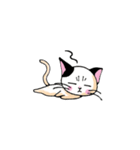 黒ブチにゃん（個別スタンプ：30）