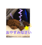 くっきーのスタンプ（個別スタンプ：8）