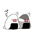 おにぎり文鳥。（個別スタンプ：11）