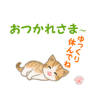 ちび猫5 毎日優しいスタンプ（個別スタンプ：6）