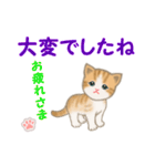 ちび猫5 毎日優しいスタンプ（個別スタンプ：8）