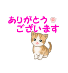 ちび猫5 毎日優しいスタンプ（個別スタンプ：13）