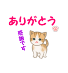 ちび猫5 毎日優しいスタンプ（個別スタンプ：15）