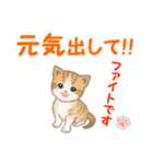 ちび猫5 毎日優しいスタンプ（個別スタンプ：27）