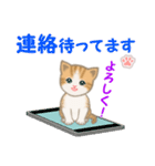 ちび猫5 毎日優しいスタンプ（個別スタンプ：34）