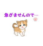 ちび猫5 毎日優しいスタンプ（個別スタンプ：36）