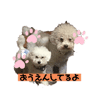 nara fami（個別スタンプ：6）