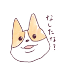 庄内弁コーギー（個別スタンプ：2）