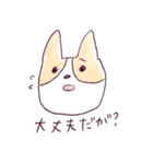 庄内弁コーギー（個別スタンプ：10）