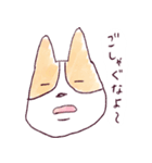 庄内弁コーギー（個別スタンプ：24）
