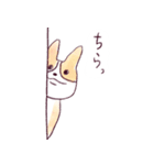 庄内弁コーギー（個別スタンプ：31）