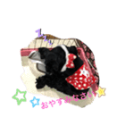 黒いヤツ。（個別スタンプ：4）