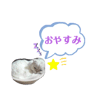 チャチャ氏のスタンプ（個別スタンプ：7）